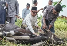 Wagub Nyanyang Ajak Masyarakat Kepri Refleksikan Makna Idul Adha