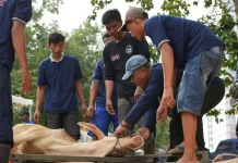 15 Ekor Sapi dan 18 Ekor Kambing dikurbankan BP Batam pada Idul Adha ini