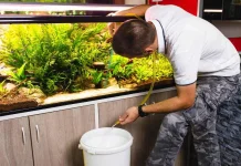 Perhatikan Ini saat Mencuci Aquarium