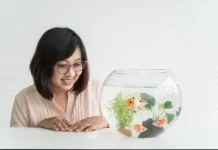 Pelihara Ikan Bagus untuk Kesehatan Mental?