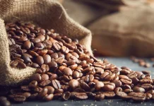 Kenali Beberapa Biji Kopi Populer !