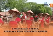 Festival Hari Gawai Dayak di Kalimantan Barat dan Sarawak