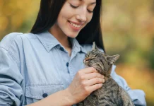 Manfaat Memelihara Kucing yang Perlu Diketahui untuk Kesehatan