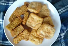 Olahan Tahu Tempe untuk Anak Sehat