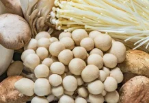 Kenali Cara Mengolah Berbagai Jenis Jamur agar Hasil Masakan Lebih Lezat