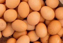 Kenali Kualitas Telur dari Bentuk dan Cangkangnya, Jangan Sampai Salah Pilih