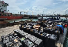 Bea Cukai Kenakan Denda Rp185 Juta untuk 80 Ribu Batang Rokok Ilegal