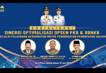 Batam dan Kepri Perkuat Sinergi Penerimaan Opsen PKB-BBNKB