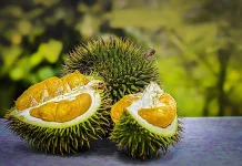 Nutrisi di Balik Buah Durian