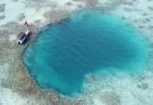 Terumbu Karang Blue Hole Langka Ditemukan di Laut China Selatan