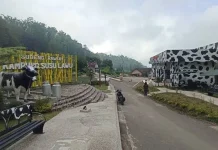 Kampung Susu Lawu Magetan, Wisata Edukasi yang Ramah Keluarga