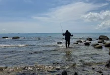 Ukuran Tali Pancing untuk Pinggiran Laut