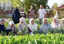 Polibatam Uji Kualitas Kompos Wujudkan Kampus Hijau Berkelanjutan 2026