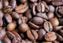 Dari Ritual Sufi hingga Kedai Kopi Dunia: Jejak Panjang Perjalanan Kopi