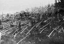 Peristiwa Tunguska, Ledakan Misterius yang Mengguncang Siberia pada 1908