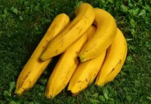 Manfaat Makan Pisang sebelum Olahraga