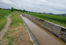 [Hoaks] Tautan Rekrutmen Pendamping Program Peningkatan Tata guna Air Irigasi