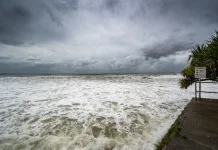 Banjir Topan Tewaskan Satwa Kebun Binatang China, Ratusan Menghilang