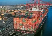 Ingin Buka Freight Forwarding? Pahami Hak Izinnya!