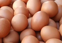 Jangan Cuci Telur sebelum Masuk Kulkas, Ini Alasannya