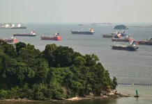 Singapura Perkuat Tebing Pantai Tanjong Rimau untuk Cegah Erosi