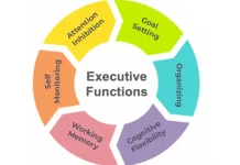 Makna dan Fungsi Executive Function dalam Psikologi