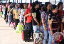 [Hoaks] Pendaftaran Program BLT Khusus TKI/TKW 2026