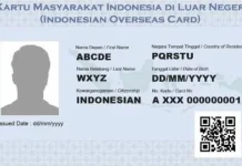 Tinggal di Luar Negeri? Ini Manfaat KMILN dan Cara Mendapatkannya