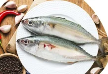 Ragam Manfaat Ikan Kembung untuk Anak