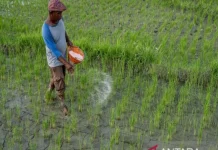 [Hoaks] Tautan Pendaftaran Bantuan Tunai untuk Petani