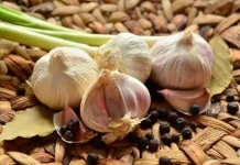 Ragam Obat Sakit Jantung Alami dari Tumbuhan