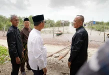 Bupati Karimun: Belum Ada Izin Sedimen Pasir Laut