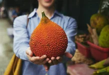 Khasiat Tersembunyi Buah Sukun untuk Kesehatan