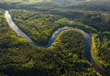 El Nino Menguat, Penyusutan Hutan Perburuk Risiko Bencana di Brasil