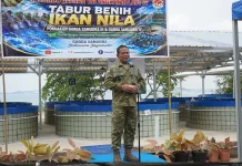 Kodaeral IV Perkuat Ketahanan Pangan lewat Budidaya Ikan Nila Batam