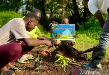 [Hoaks] Tautan Pendaftaran Bantuan Bibit Tanaman Buah