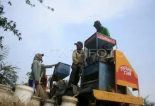 [Hoaks] Prabowo Mau Sita Usaha Gilingan Padi Berpendapatan Besar