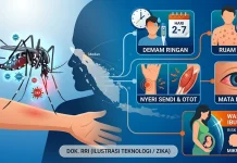 Mengenal Virus Zika dan Gejala yang Wajib Diwaspadai