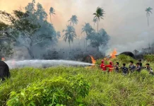 TNI AL Gerak Cepat Padamkan Kebakaran Gambut di Natuna