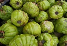 Asam Gelugur, Pemberi Rasa Asam Segar yang Punya Potensi Bantu Kontrol Berat Badan