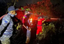 Gerak Cepat TNI AL dan Tim Gabungan Padamkan Kebakaran Lahan di Lingga