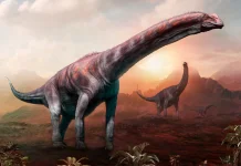 Argentinosaurus, Dinosaurus Raksasa yang Pernah Menghuni Argentina