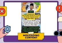 [Hoaks] Demi MBG, Ratusan BUMN Bakal Tutup Akhir 2026