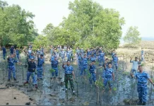 Lanud Hang Nadim Tanam Mangrove di Batam Peringati HUT Ke-81 TNI
