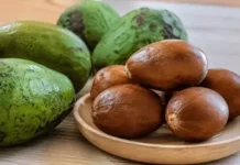 Aneka Ragam Manfaat Biji Alpukat