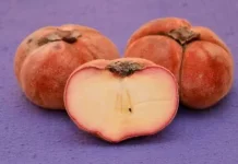 Berbagai Manfaat Buah Mentega untuk Kesehatan