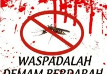 Waspadai Gejala DBD sejak Dini