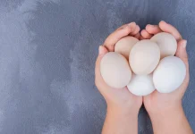 Telur Kaya Protein untuk Pertumbuhan Anak
