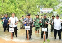 Kodaeral IV dan Kodim Batam Tanam Mangrove, Perkuat Jaga Pesisir Nongsa