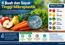 Berikut 5 Buah dan Sayur Tinggi Mikroplastik